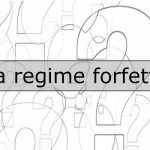 guida regime forfettario